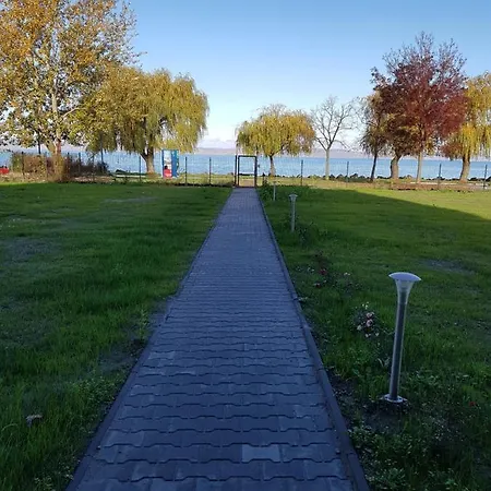 Silver * Siofok